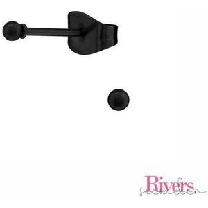 2mm oorbellen bolletjes - zwart - roestvrij staal - Rivers-sieraden - stainless steel - studs - oorbellen studs – zwartkleurige oorbellen - rvs