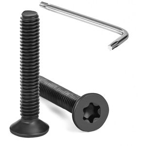 Verzonken Kopschroeven M4 x 25 mm - Torx - Zwart - Roestvrij Staal - 20 Stuks