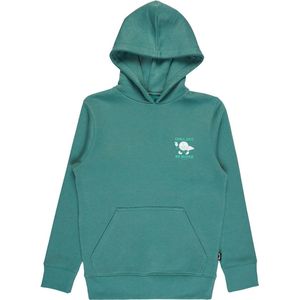 Billabong - Foundation Po Hoodie - Pullover Hoodie - Jongens 8-16 - Katoen en Gerecycled Polyester Mix