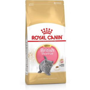 Royal Canin British Shorthair Kitten - Katten Brokken - 2 kg