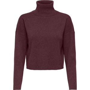 ONLY CARMAKOMA - CARAMA LIFE LS RIB ROLLNECK KNT - Meisjes - Gebreide truien