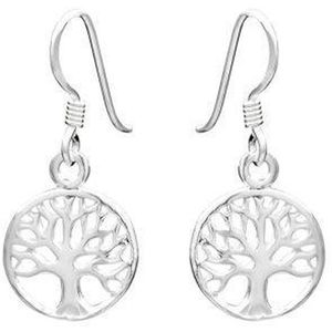 WeLoveSilver Dames oorhangers - Zilver