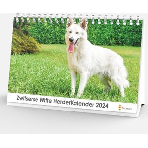 Bureaukalender 2024 - Witter Zwitserse Herder - 20x12cm
