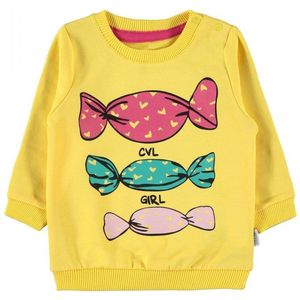 Baby/peuter sweater meisjes - Babykleding