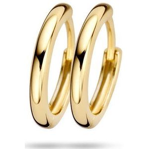 7233YGO Oorbellen oorring 14 krt Goud