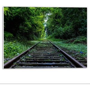 Forex - Treinrails door Bos - 40x30cm Foto op Forex