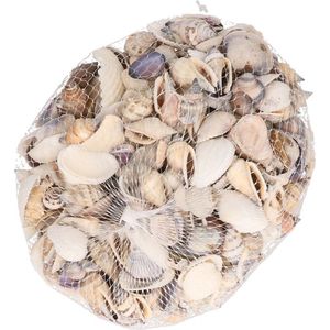 Decoris Schelpen - klein - decoratie - hobby - 400 gram - multi kleur - Maritiem/zee/strand thema