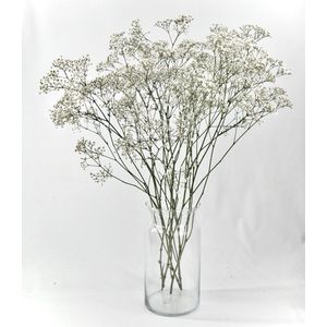 Gipskruid - Droogbloemen - 75 cm - Vers - 5 takken - Natuurlijk Bloemen