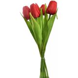 Tulp - Boeket - Rood - 7 Stuks - 35 cm