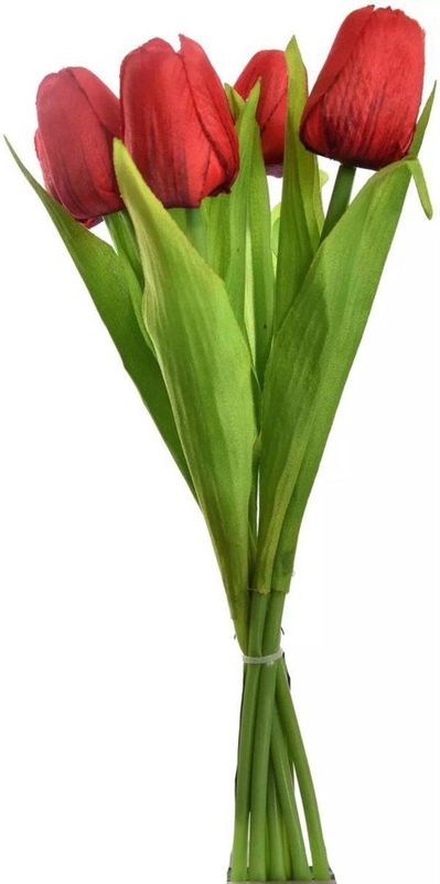 Tulp - Boeket - Rood - 7 Stuks - 35 cm