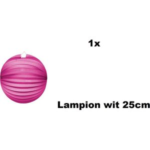 Lampion Pink 25cm - festival thema feest verjaardag party papier BBQ strand licht fun