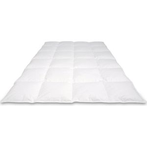 VERMEER Winters-sdonzen dekbeds-s90% eendendonss-s warmteklasse 2 - 200/200cm - 1000gr.