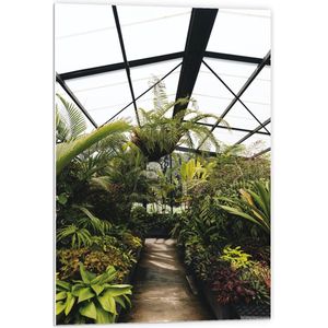 Forex - Planten in Glazen Gebouw - 60x90cm Foto op Forex