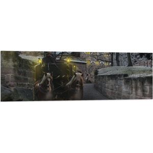 Vlag - Pad - Persoon - Bomen - Huis - Dier - Paarden - Lampen - 120x40 cm Foto op Polyester Vlag