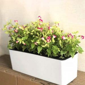 16-inch rechthoekige zelfbewaterende plantenbak met waterniveau-indicator - venster tuinieren - decoratieve plantenbak