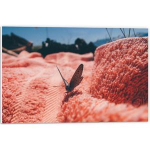Forex - Bruine Vlinder in Roze Natuur - 60x40cm Foto op Forex