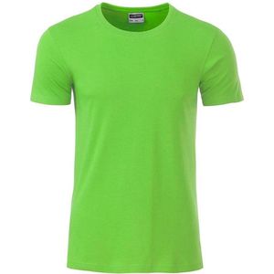 James and Nicholson - Heren Standaard T-Shirt (Kalk groen)