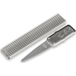 Hernieuwbare metalen tandenstoker met flexibele zilveren punt voor optimale mondhygiëne