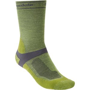 Bridgedale Mid-season Weight T2 Merino Sport Sokken Groen EU 44-47 Man