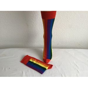 Regenboog sokken - Rainbow sokken - Gay Pride Rainbow sokken - 1 Paar katoenen sokken - Maat 40-46