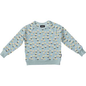 SNURK sweater kind Daisy Dawn maat 164