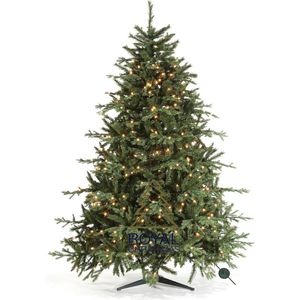 Royal Christmas - Kunstkerstboom - Iowa Deluxe - PE / PVC / PP - 650 LED Lampjes - FBU - 210 cm - 3944 Takken