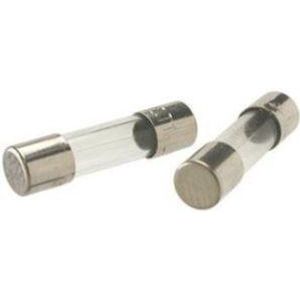 Zekering 5,0A
