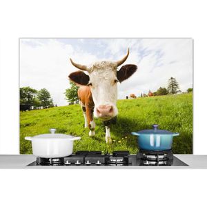 Spatscherm keuken 120x80 cm - Kookplaat achterwand Koe - Licht - Schaduw - Muurbeschermer - Spatwand fornuis - Hoogwaardig aluminium
