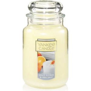 Yankee Candle USA Juicy Citrus & Sea Salt Large