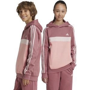 Junior - Tiberio - Hoodie - Colorblock - Katoen - Gerecycled Polyester