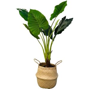 HEM Kunst Palm - Kunst Colocasia Taro Plant - Colocasia Taro Kunstplant 90 cm in zwarte pot - Kunstplant voor binnen - Grote Kunstplant