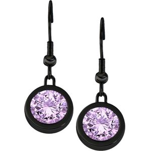 Quiges RVS Schroefsysteem Oorhangers Oorbellen Zwart met Verwisselbare Zirkonia Paars Mini Munt Set - ECOS252