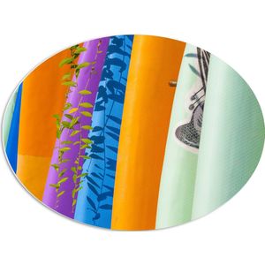 PVC Schuimplaat Ovaal - Rij Verschillende Kleuren Surfboards - 68x51 cm Foto op Ovaal (Met Ophangsysteem)