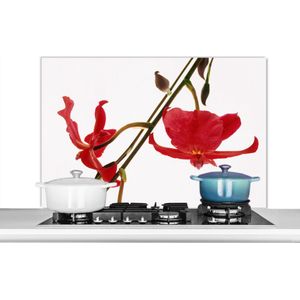 Spatscherm keuken 100x65 cm - Kookplaat achterwand Twee rode orchideeën tegen een witte achtergrond - Muurbeschermer - Spatwand fornuis - Hoogwaardig aluminium