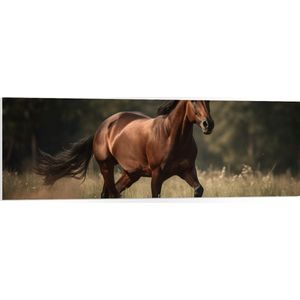 PVC Schuimplaat- Bruin Paard met Witte Bles Lopend door Weiland met Hoog Gras - 120x40 cm Foto op PVC Schuimplaat