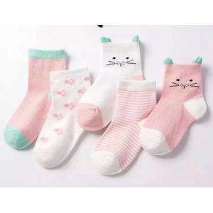 5 paar New born Baby sokken - set babysokjes - 0-6 maanden - roze katten sokken - babysokken - multipack - dierensokken