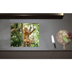 Inductieplaat Beschermer - Aap hangt en zit op takken in de jungle - 59x50 cm - 2 mm Dik - Inductie Beschermer - Bescherming Inductiekookplaat - Kookplaat Beschermer van Wit Vinyl