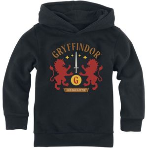 Harry Potter Gryffindor Jongens & meisjes Trui met capuchon - zwart - 104