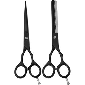 Guardian Beauty Scharenset - 6 Inch - Roestvrij Staal - Met Gratis Etui - Kappersgereedschap