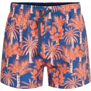 Brehat Swim shorts