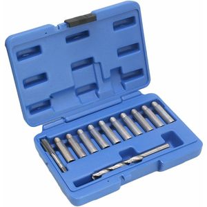Geleidingsbouten reparatie set - Remklauw reparatieset - Draadreparatie set - ASTA