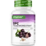 Vit4ever - OPC Druivenpitextract - Capsules - 300 Stuks - 1000 mg Extract met 700 mg OPC