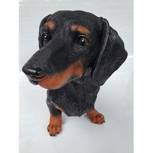Denza - Teckel uniek lengte 50 cm - levensgroot model materiaal polystone - hond teckel decoratie