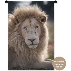 Wandkleed Leeuwen - Witte leeuw fotoprint Wandkleed katoen 60x90 cm - Wandtapijt met foto