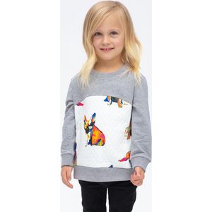 PIETRO Brunelli TRUi SANTA MONICA BABY&PEUTER FRENCH BULLDOG 6 YRS