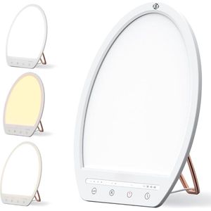Equivera - Lichttherapielamp - Bureaulamp - Meerdere Standen - Timerfunctie