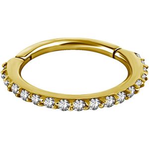 Chirurgisch Staal Neus Ring  - Premium Zirconia