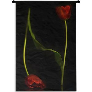 Wandkleed Planten op een zwarte achtergrond - Twee rode tulpen op een zwarte achtergrond Wandkleed katoen 60x90 cm - Wandtapijt met foto