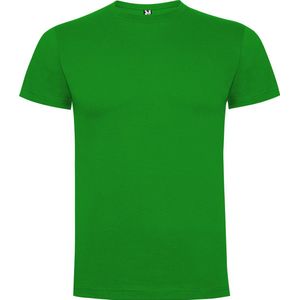Gras groen 2 pack Premium t-shirts Roly Dogo maat 6 110-116