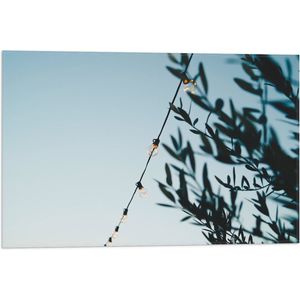WallClassics - Vlag - Lampslinger bij Groene Takken - 60x40 cm Foto op Polyester Vlag